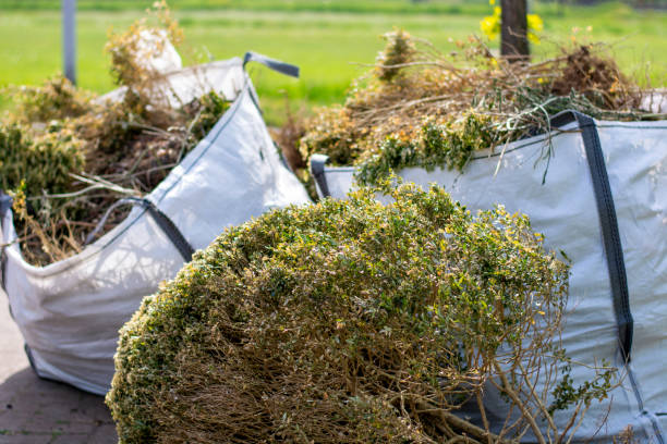 Best Garage Cleanout  in Westmere, NY